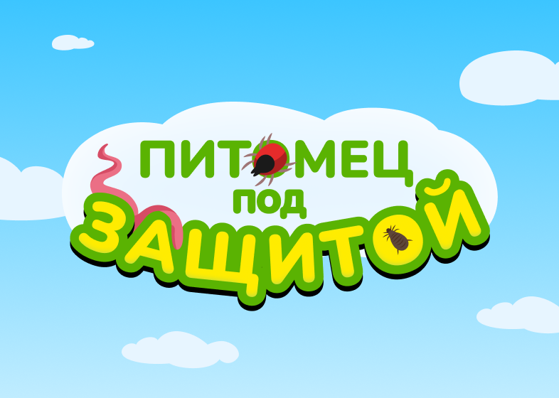 Игровая механика: «Четыре лапы: Питомец под защитой»